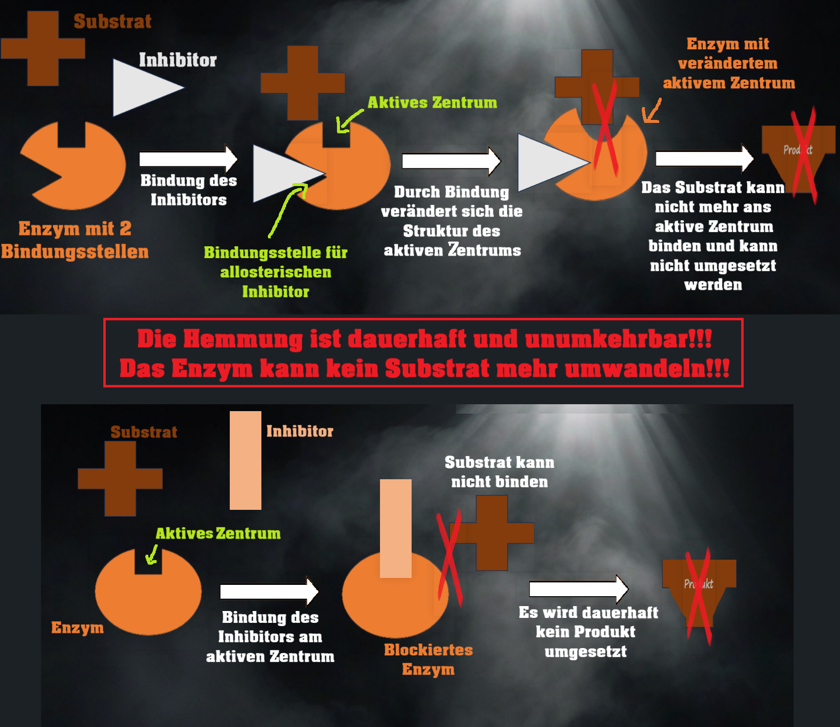 Musterlösung